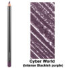 Cyber World