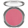 Blush Rose