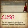 250-voucher £250 Translife Gift Voucher