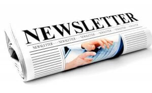 Translife Newsletter