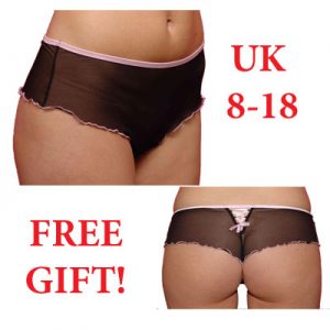 Free Gift Translife