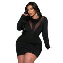 Contrast Mesh Bodycon Dress
