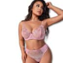 Embroidery Mesh Underwire See-Through Lingerie 2pcs/Set