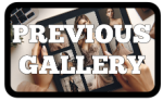 previous gallery button (1) Translife dressing service previous button