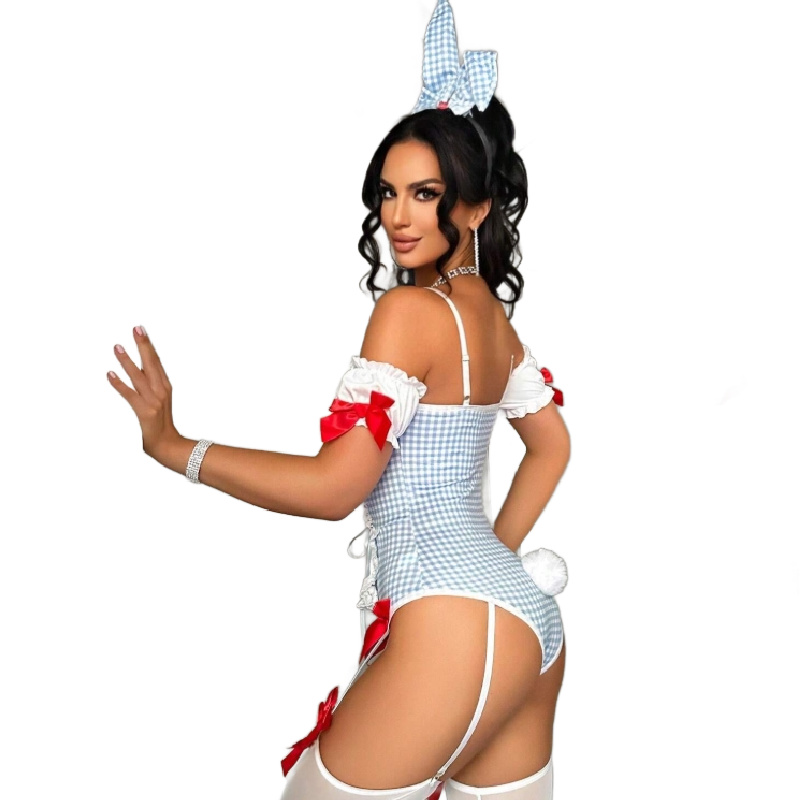 Blue Gingham Bunny Costume