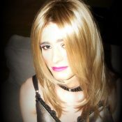 Translife Dressing Service Model Nat