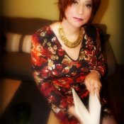 Translife Dressing Service Model Norma