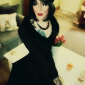 Translife Dressing Service Model Jan