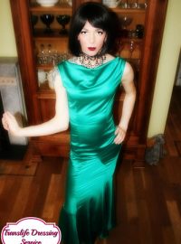 Translife Dressing Service Model Jan