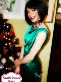 Translife Dressing Service Model Jan