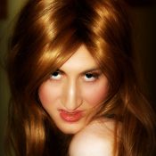 Sarah Translife Dressing Service