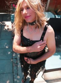 Francis Translife Dressing Service Bognor Regis