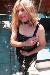 Francis Translife Dressing Service Bognor Regis